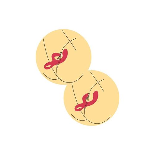 Wibrator Podwójnej Stymulacji Toy Joy na Arena.pl