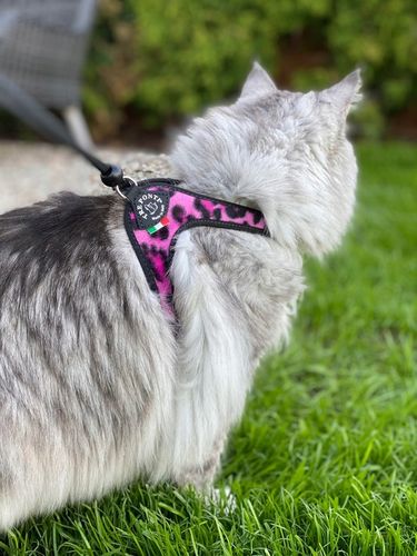 SZELKI dla dużego kota 38-48cm do 6kg Brytyjski TRE PONTI Leopard różowe na Arena.pl