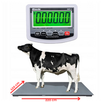 Waga inwentarzowa Sensorwag YS SCS 120x220 3t