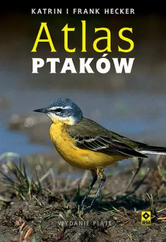 Atlas ptaków na Arena.pl