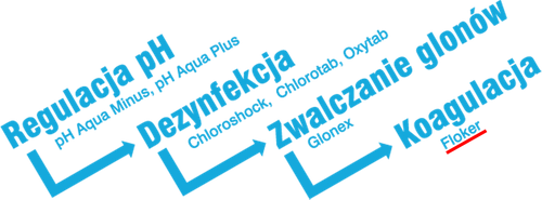 Preparat do basenu FLOKER R508 na Arena.pl