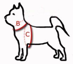 trixie szelki dla psa rozmiar m na Arena.pl