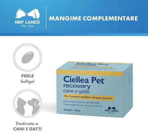 CIELLEA PET RECOVERY 30 KAPSUŁEK -  NBF Lanes na Arena.pl