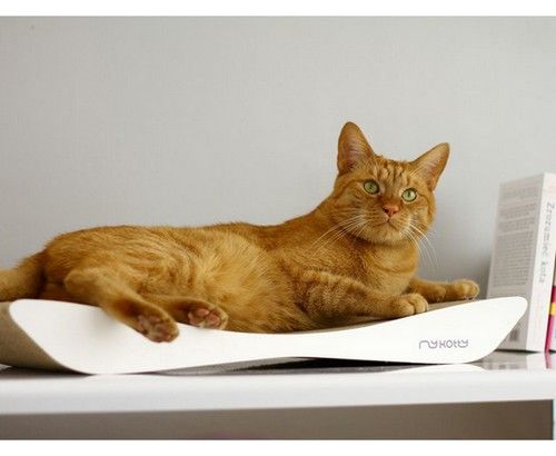 MyKotty Drapak Tobi biały na Arena.pl