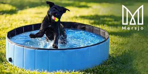 BASEN OGRODOWY DLA PAS, ZWIERZĄT, DZIECI SKŁADANY DEXTER 80x20 cm na Arena.pl