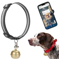 LOKALIZATOR TRACKER GPS ŚLEDZENIE DLA PSA i KOTA WODOODPORNY HISTORIA TRAS