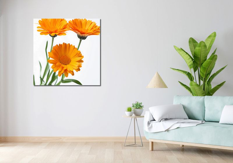 Obraz 90x90cm Słoneczne Kalendule zdjęcie 2