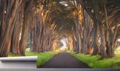 Fototapeta LEŚNY TUNEL DRZEWNY DROGA POLNA 390x280