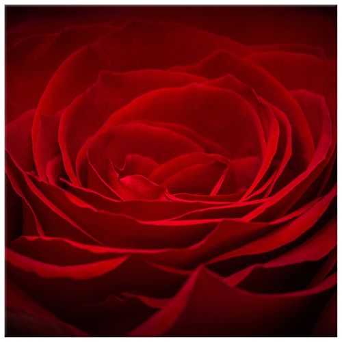 40X40 Obraz Na Płótnie Do Salonu na Arena.pl