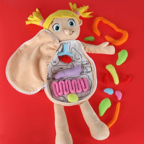 INTERAKTYWNA LALKA EDUKACYJNA DO NAUKI ANATOMII na Arena.pl