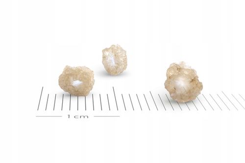 Nawóz siarczan amonu 5kg na Arena.pl