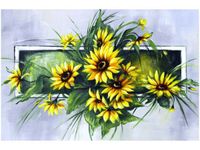 product-compare-58695630