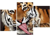 product-compare-58698270