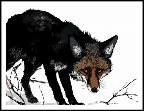 Plakat 100x75cm Nieufny Lis na Arena.pl