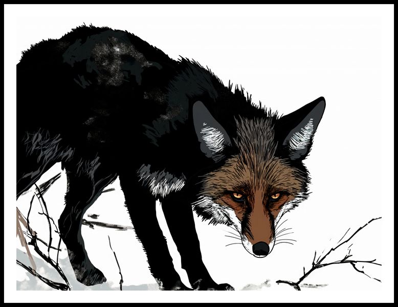 Plakat 100x75cm Nieufny Lis zdjęcie 3