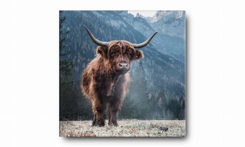 OBRAZ NA PŁÓTNIE 048 Krówka 60x60cm na Arena.pl