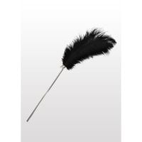 piórko do łaskotania feather tickler taboom