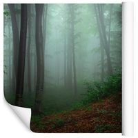 Fototapeta Las we Mgle Rośliny NATURA do Salonu 405x270