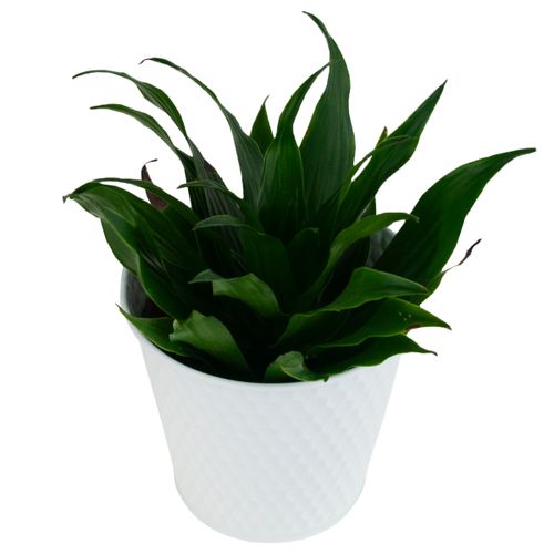 OSŁONKA NA DONICZKĘ METALOWA DONICZKA BIAŁA ozdobn na Arena.pl