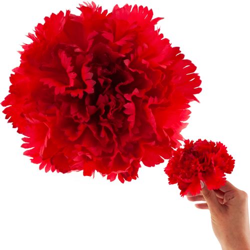 Goździk Wyrobowy Główka Sztuczne Kwiaty Jak Żywe Do Stroików Czerwony na Arena.pl