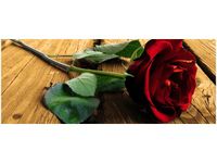 100X40CM RÓŻA UKOCHANEJ OBRAZ DREWNO