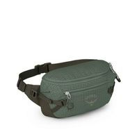 Osprey nerka biodrowa Transporter Waist Pack zielony