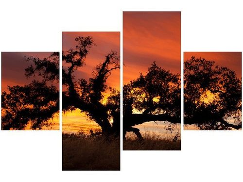 140CM 70 OBRAZ DĄB ZACHODZĄCYM SŁOŃCU DON MCCULLOUGH ŚCIENNY na Arena.pl