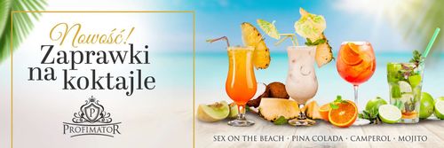 Zaprawka na koktajl PINA COLADA 300 ml PROFIMATOR na Arena.pl