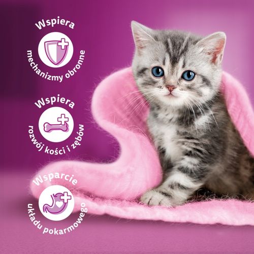 WHISKAS JUNIOR MOKRA KARMA DLA KOCIĄT WOŁOWINA KURCZAK W SOSIE 4 X 85 G na Arena.pl