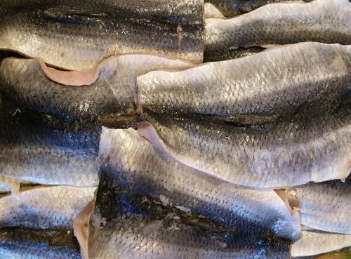 Płaty śledziowe świeże - śledzie 1KG na Arena.pl