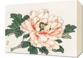 Obraz 40x30cm Pink Rose,  Kōno Bairei Japoński Vintage do Salonu