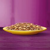 WHISKAS mokra karma dla kota kurczak indyk drób kaczka w galaretce 80x85 g