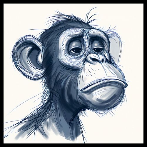 Plakat 60x60cm Zaduma na Arena.pl