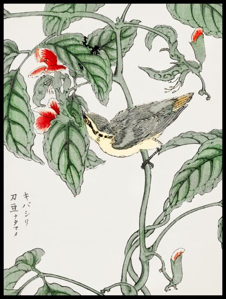 Plakat 60x80cm Tree-Creeper. Kashu Japoński Vintage do Salonu zdjęcie 2