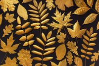 product-compare-62146617