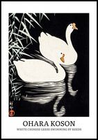 Plakat 70x100cm Design Geese, Koson Vintage do Salonu