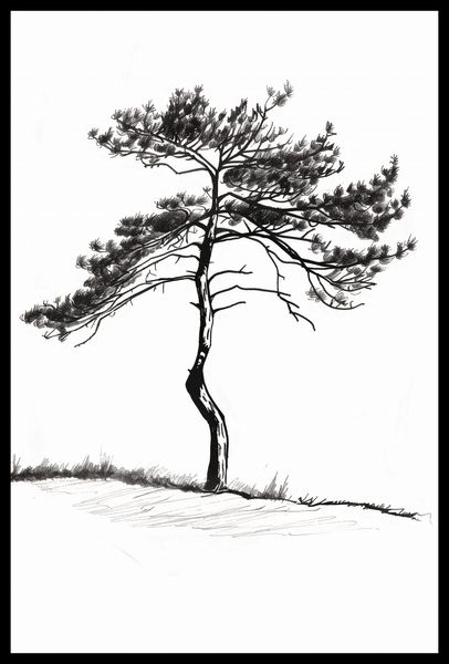 Plakat 40x60cm Samotna Sosna zdjęcie 2