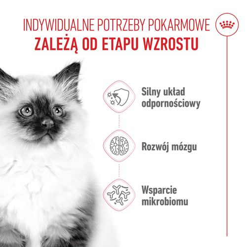 royal canin  kitten 2kg na Arena.pl