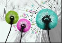 100 70CM OBRAZ PŁÓTNO KOLOROWE DMUCHAWCE PŁÓTNO RAMA