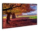 Kolorowy Krajobraz - obraz na płótnie 40x30 cm