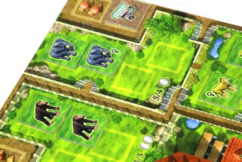 G3 Gra Zooloretto (edycja 2016) na Arena.pl