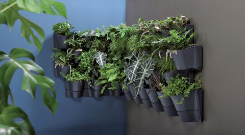 Ogród wertykalny wiszący CASCADE GARDEN na Arena.pl