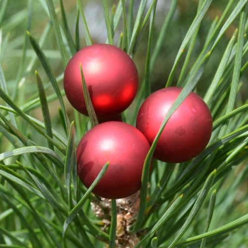 Bombki szklane drucik czerwień świąteczna 2cm/ 144 na Arena.pl