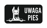 GRAWER Tabliczka nierdzewna laminat 20x10 UWAGA PIES DOBERMAN różne wzory