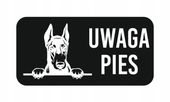 GRAWER Tabliczka nierdzewna laminat 20x10 UWAGA PIES DOBERMAN różne wzory