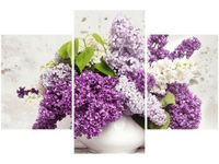 product-compare-58646432