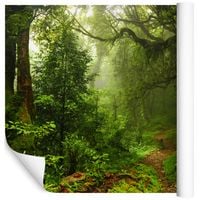 Fototapeta Las TROPIKALNY Ścieżka do Sypialni 405x270