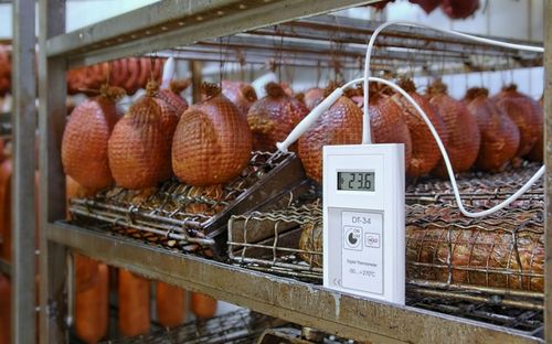 Termometr DT34 od producenta do żywności HACCP na Arena.pl