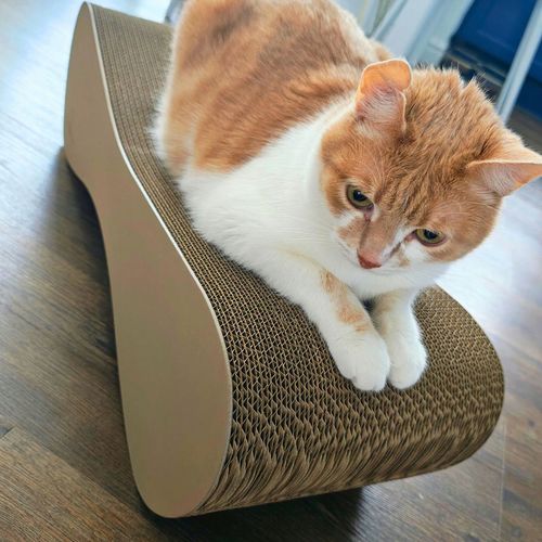 Drapak dla kota MIMI | cappuccino | 70x23x24 cm | MruuPruu na Arena.pl