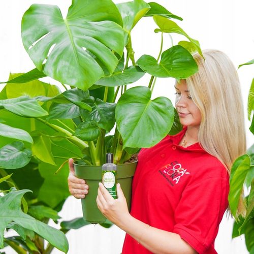 CocaBooster - STYMULATOR WZROSTU - Nawóz Odżywka Specjalistyczny Preparat na Arena.pl